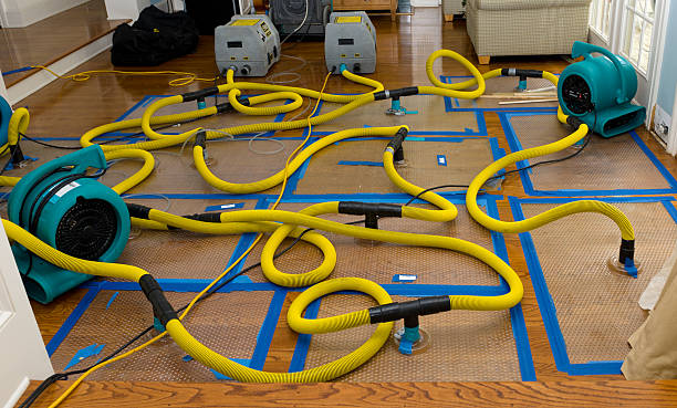 Professional Burst Pipe Water Damage technician working in Kennedale, TX